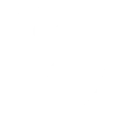 SSL Seguro